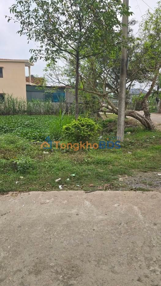 Land Quỳnh Diễn Đường 2 230m² giá 2 tỷ - Đất góc đấu giá hiếm có