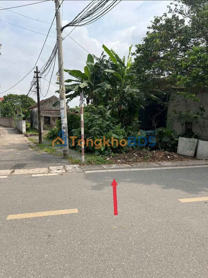 Đất nền Chính Nghĩa Kim Động 59m² 1 tỷ - Sổ đỏ