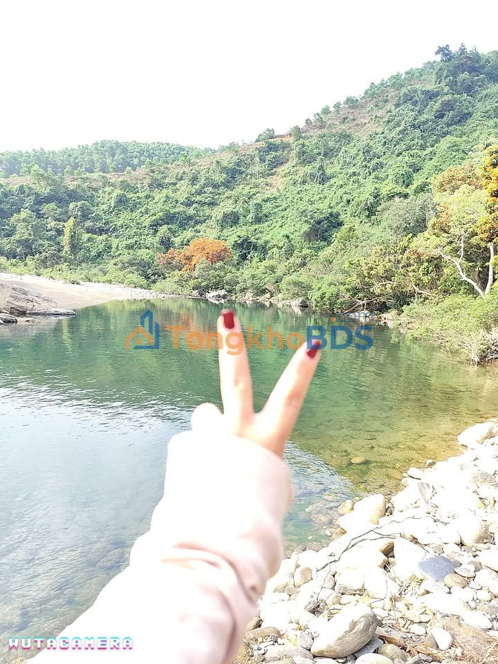 Đất Vườn Hòa Bắc Đà Nẵng 2000m² - View Suối Riêng, Giá Hời 8xx Triệu