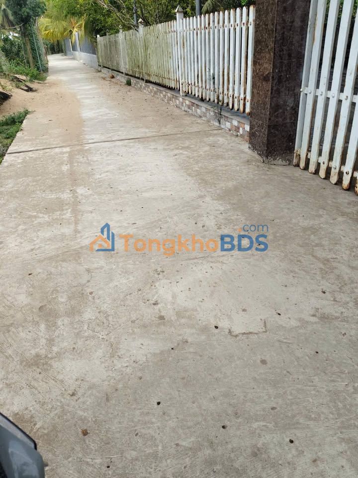 Đất nền Thanh Tân Mỏ Cày Bắc 1.55 tỷ - Tiềm năng tăng giá