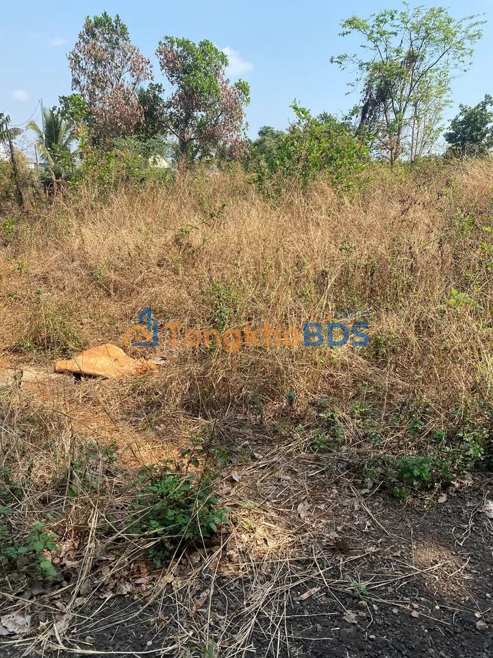 Đất nền Ia Krêl 140m² giá 300 triệu - Sổ đỏ chính chủ