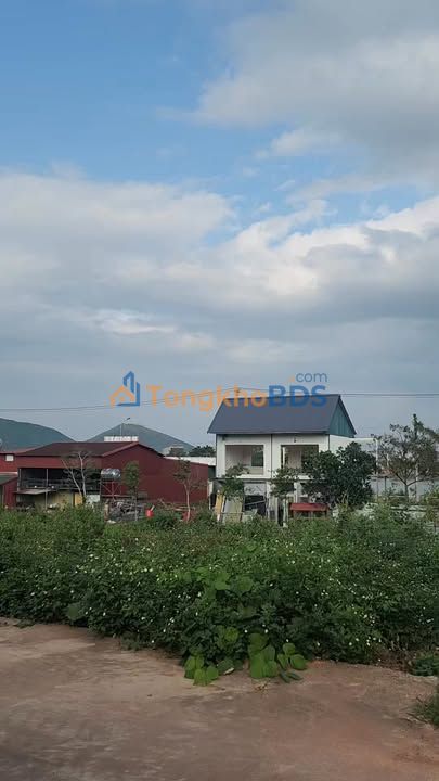 Đất Lục Nam, Bắc Giang: 115m² Full Thổ Cư, Mặt Tiền 10m - Giá Đầu Tư Hời!