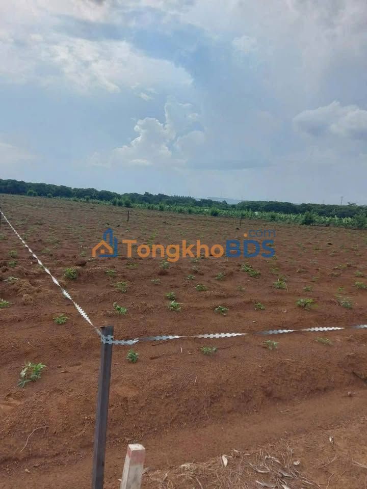 Đất nền Trảng Bom Sông Trầu 360m² 590 triệu - Sổ đỏ chính chủ