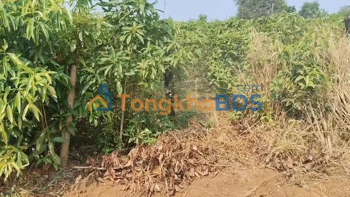 Đất nền Ia Kha Gia Lai 200m² 360 triệu - Full thổ cư