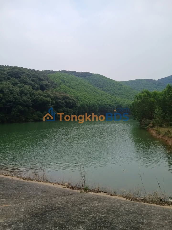 Warehouse An Phú Thuận An 880m² 11 tỷ - Hoạt động ngay