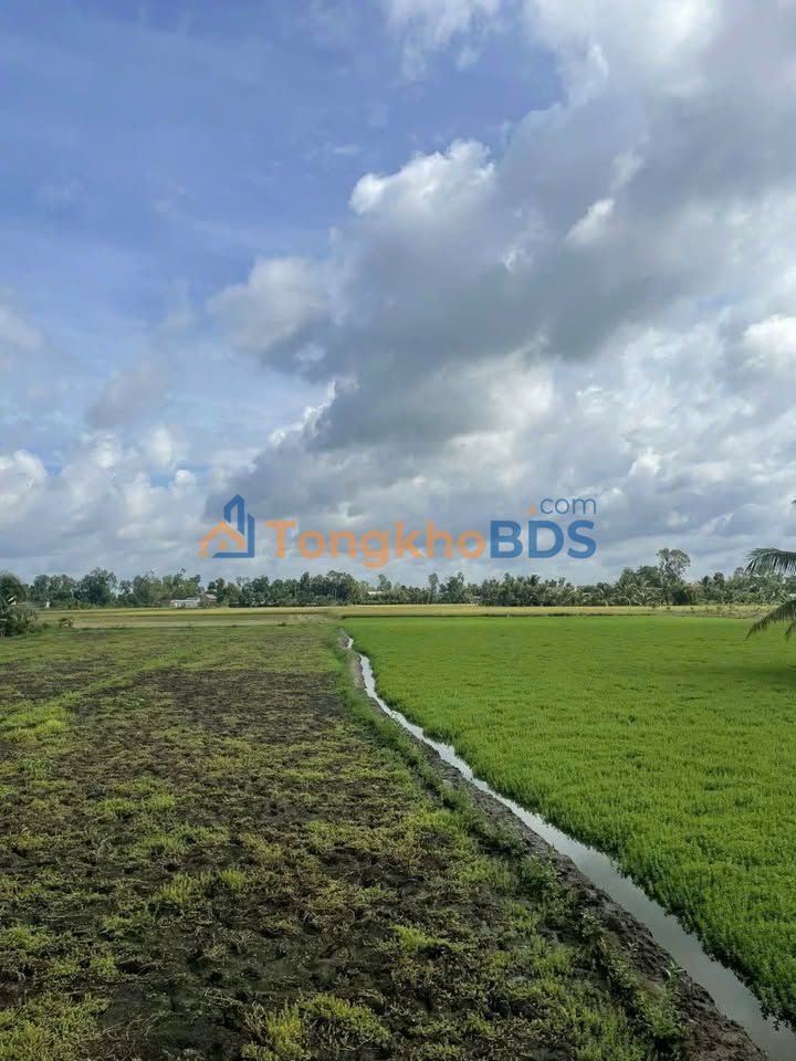 Đất vườn Long Định 5 công 1.5 tỷ - Sổ đỏ chính chủ