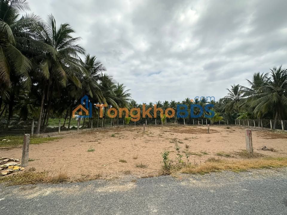 Đất nền Ấp Nhơn Hòa 260m² 750 triệu - Sổ đỏ chính chủ