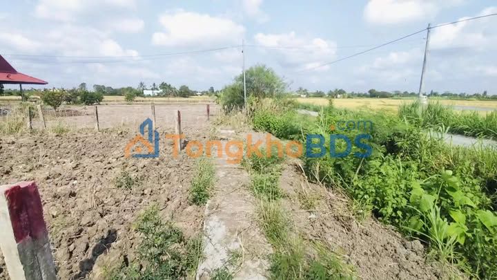 Đất nền Gò Công Tây 165m² 280 triệu - Thổ cư 100%