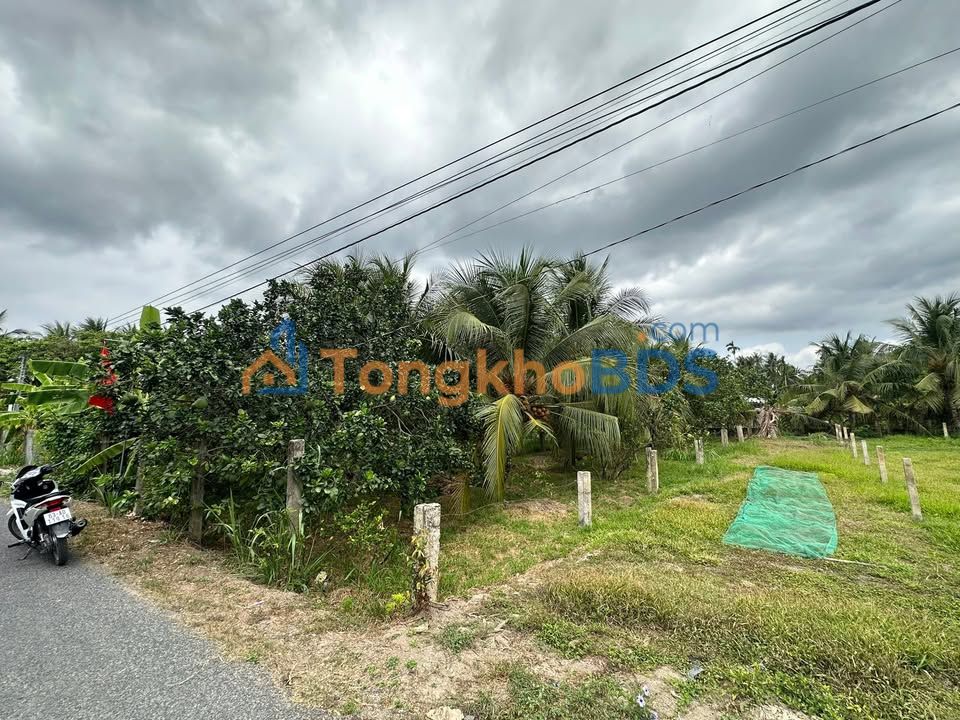 Đất nền Chợ Gạo 354m² 750 triệu - Xây dựng tự do