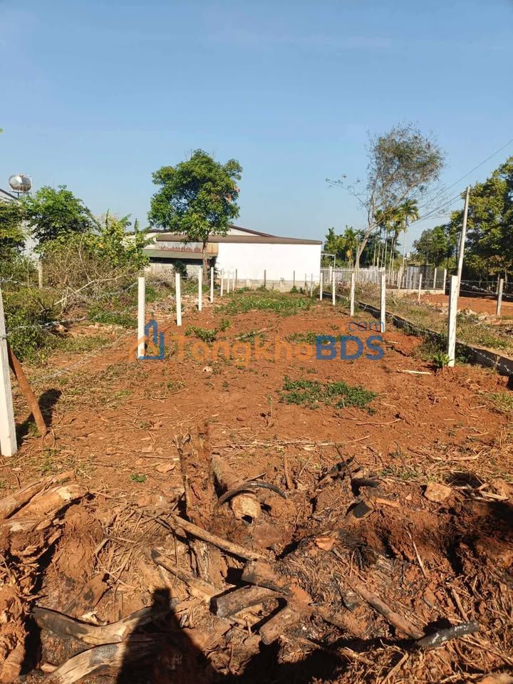 Đất nền Trần Cảnh Dân Hoài Đức 150m² 1.29 tỷ - Đường to ô tô