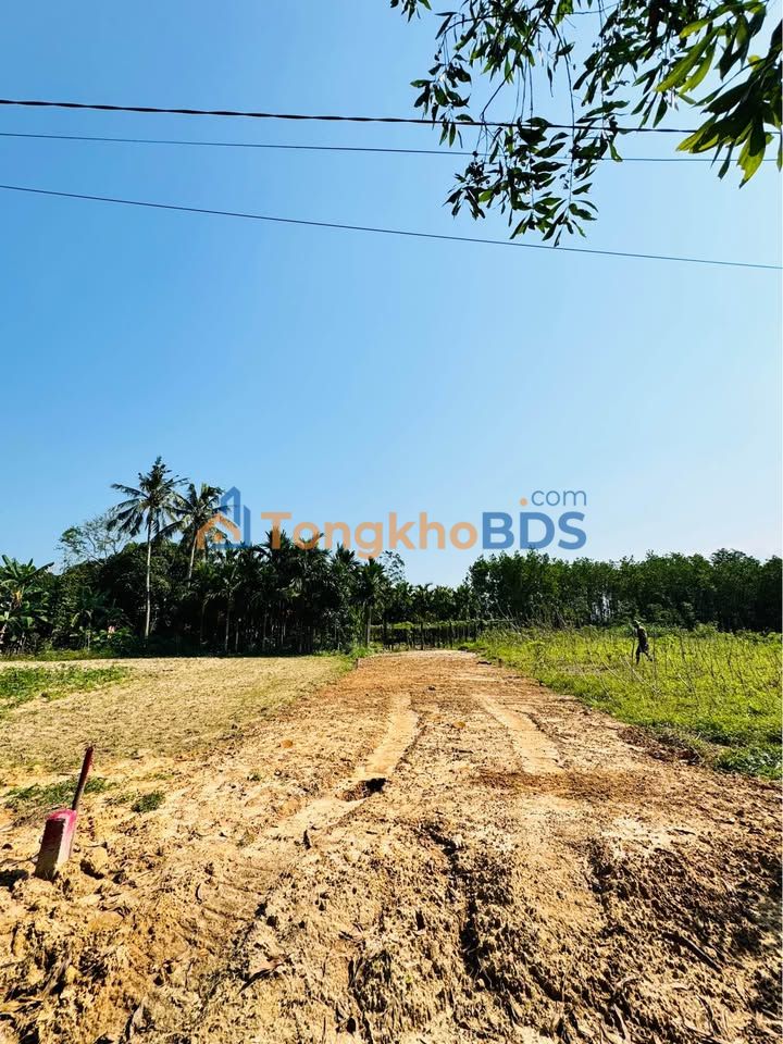 Đất Chợ Chùa 125m² 379 triệu - Đường to ô tô