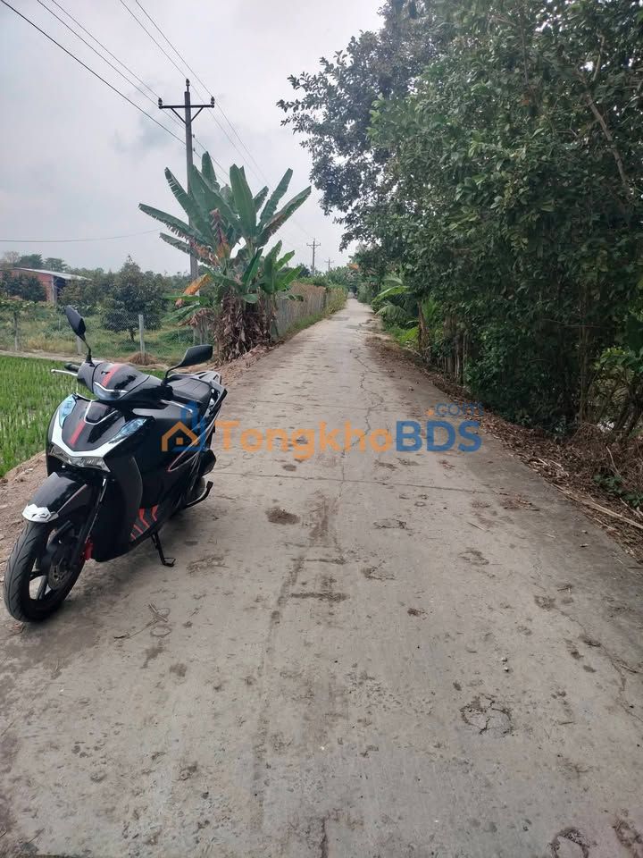 Đất vườn Thanh Mỹ Đồng Tháp 1.8ha 6.84 tỷ - Sinh thái xanh