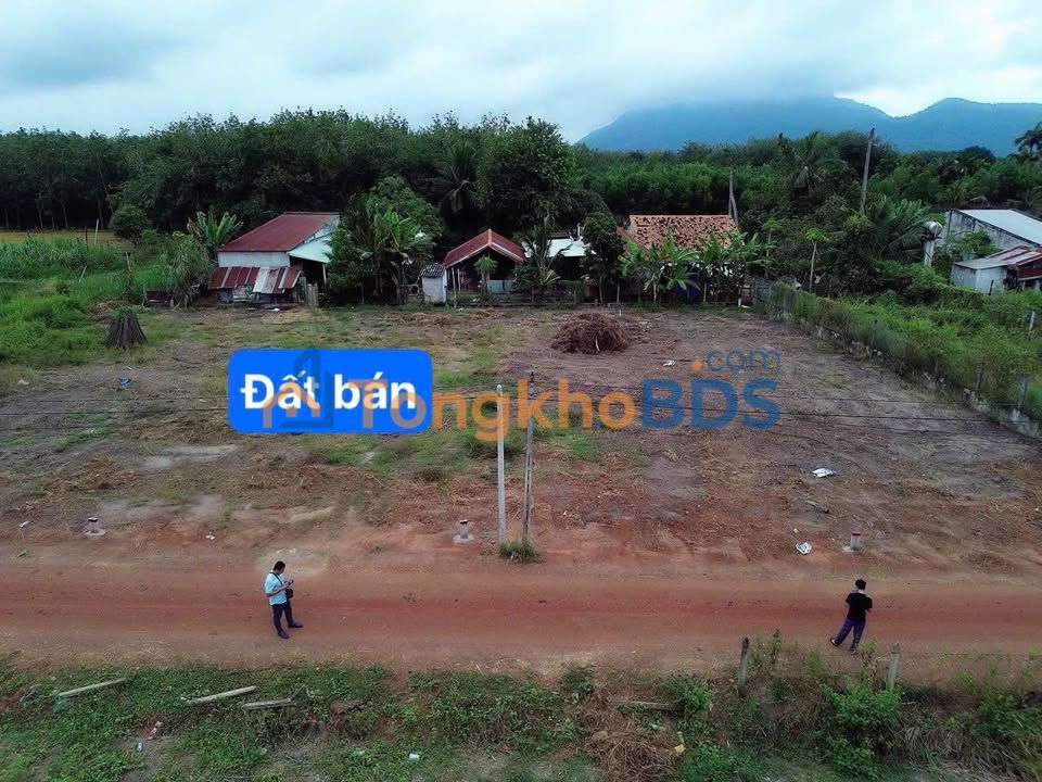 Đất nền Tân Phú Tân Châu 172m² 325tr - Sổ đỏ chính chủ