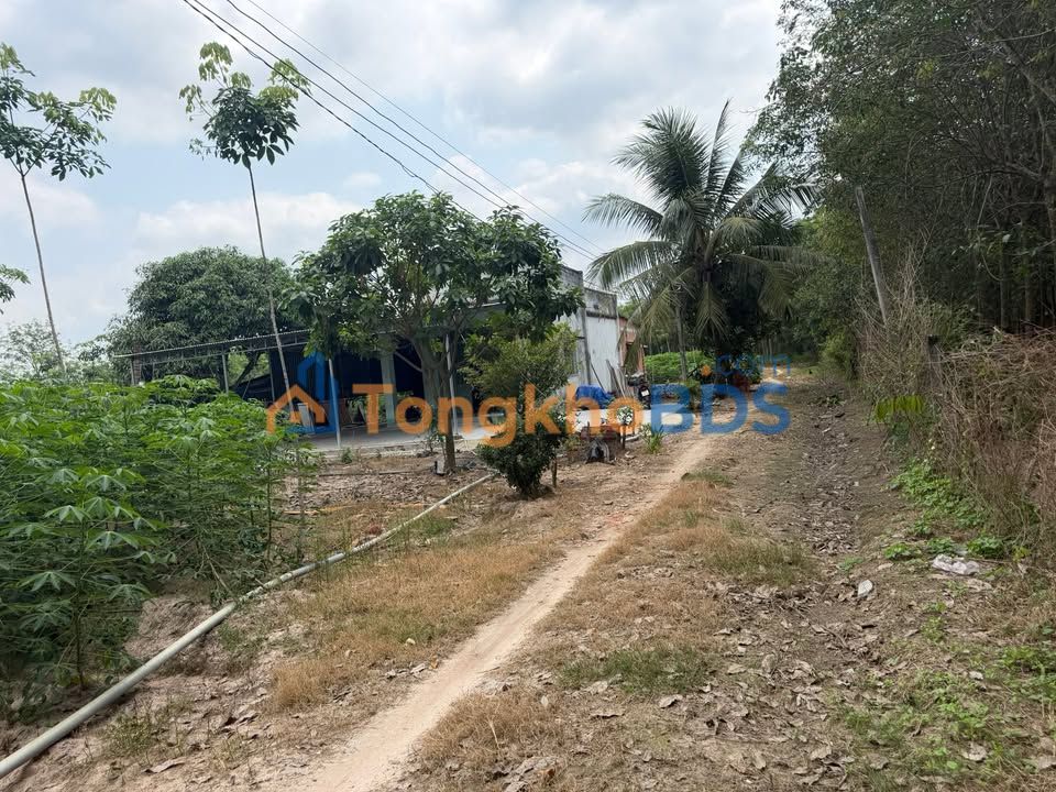 Đất vườn Trà Vong Tân Biên 10.000m² 1.35 tỷ - Sinh thái xanh