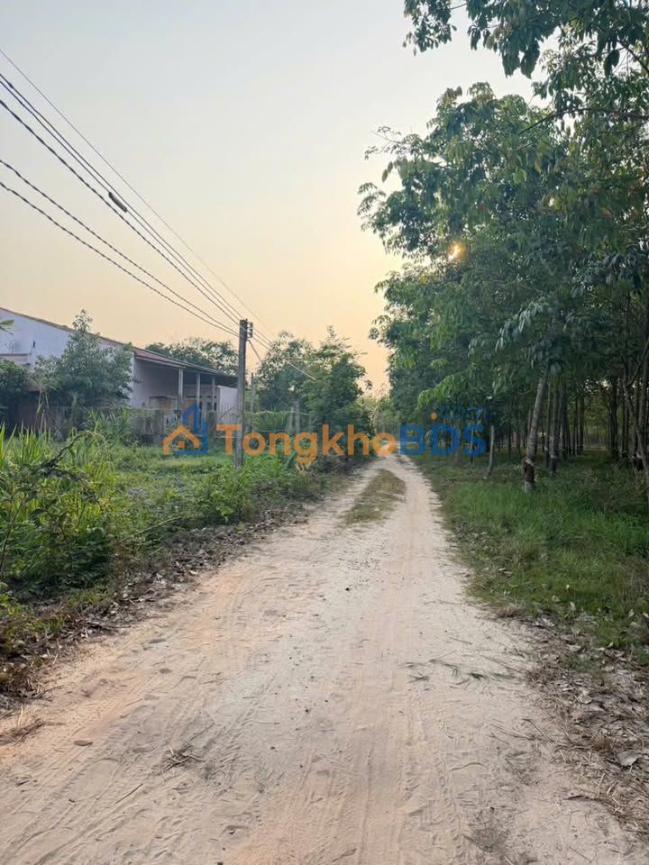 Đất nền Tân Phong Tân Biên 10x70 17 triệu/m - Sổ hồng sẵn