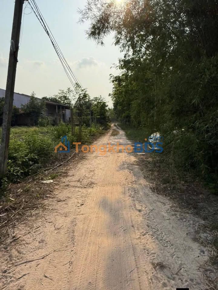 Đất nền Tân Phong Tân Biên 700m² 170tr - Sổ đỏ chính chủ