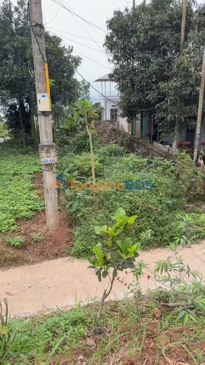 Đất nền Hạ Hòa 117m² 600 triệu - Thổ cư 100%