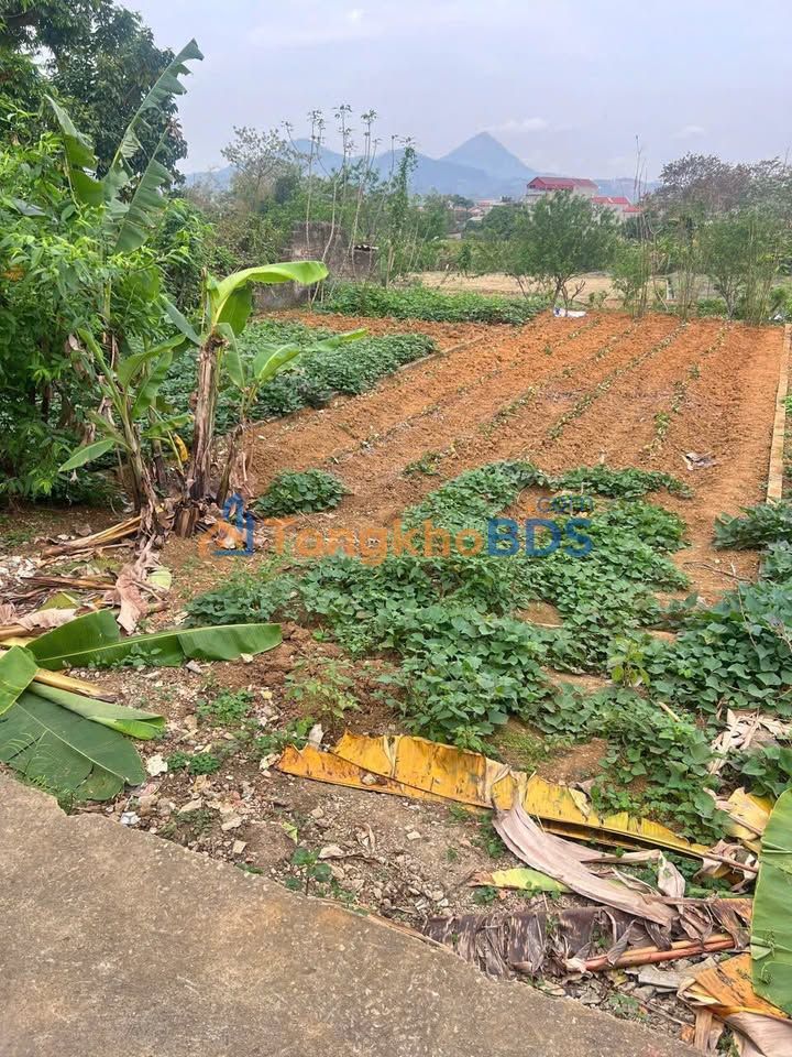 Đất nền Kỳ Lừa Lạng Sơn 90m² 700 triệu - Tiềm năng tăng giá