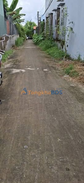 Bán Gấp Đất Vườn 751m² Long An - Có Nhà Ở Sẵn, View Sông Thoáng Mát