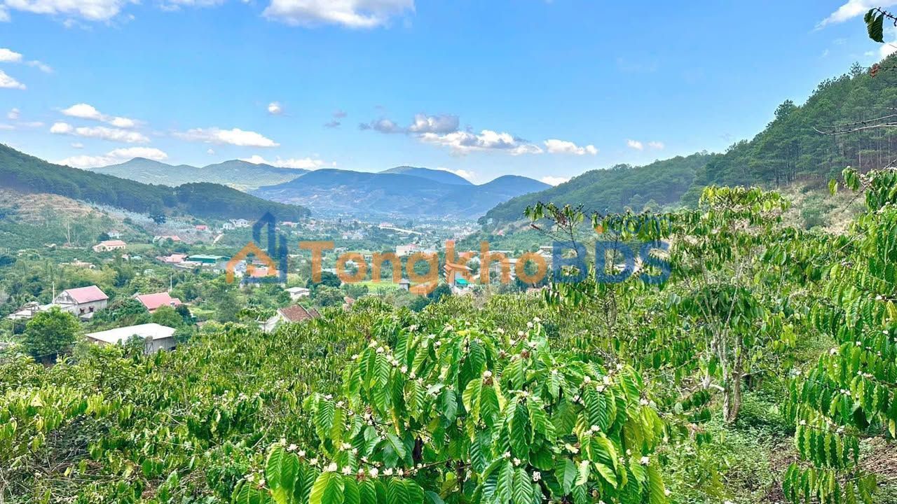 Đất nền Nam Ban Lâm Hà 1.004m2 1.05 tỷ - Sổ đỏ chính chủ