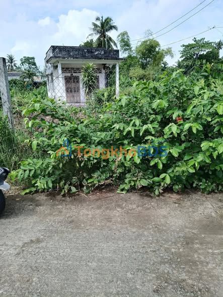 Đất Bình Thạnh Thủ Thừa 901m² 3.2 tỷ - Sổ đỏ chính chủ