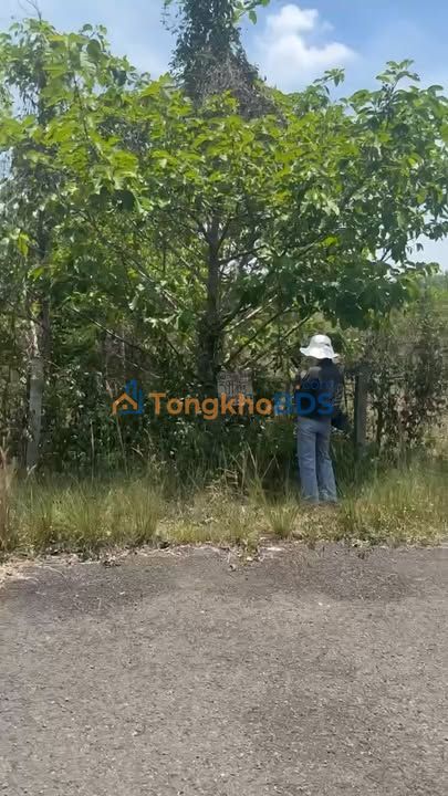 Đất nền Nha Bích 994m² 1.35 tỷ - Sổ đỏ chính chủ