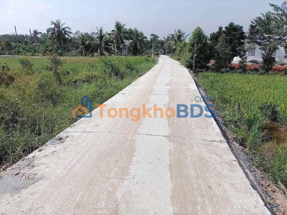 Đất thổ cư Mỹ An Thủ Thừa 390m² 1.56 tỷ - Đường ô tô