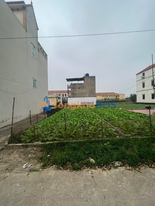 Đất nền Thường Tín 66m² giá 3 tỷ - Sổ đỏ chính chủ