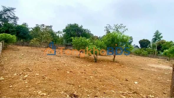 Đất nền Yên Bài Ba Vì 1320m² 5.28 tỷ - Sổ đỏ chính chủ