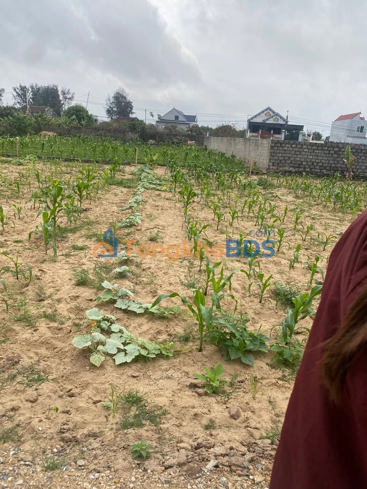 Đất nền Ninh Phú Đa Lộc 109m² 700-799 triệu - Tiềm năng tăng giá