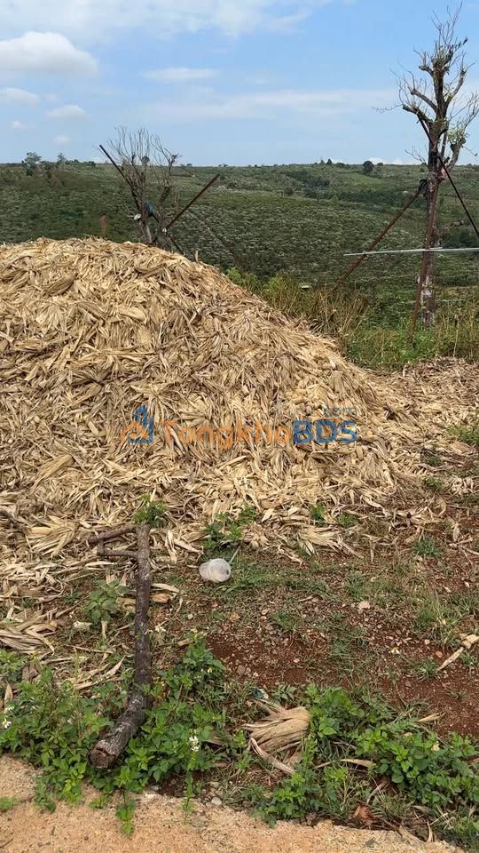 Đất nền Đinh Lạc Di Linh 2,8 sào 2,8 tỷ - Sổ đỏ chính chủ