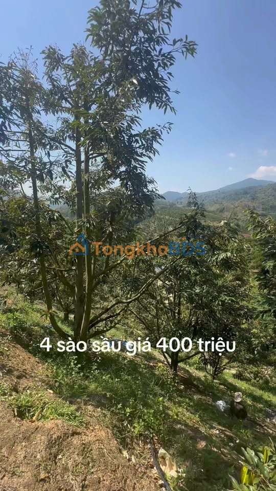 Đất vườn Tân Thanh Lâm Hà 1.440m² 450 triệu - Đầu tư dài hạn