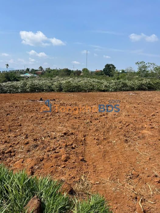 Đất vườn Tân Hà Lâm Hà 3.2ha/220 triệu - Nghỉ dưỡng lý tưởng