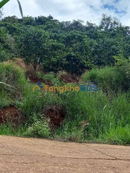 Đất vườn Tân Hà 612m² giá 750 triệu - Đầu tư dài hạn