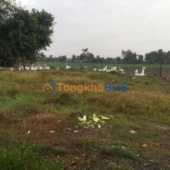 Đất nền Gò Dầu 600m² 1.4 tỷ - Sổ đỏ chính chủ ven sông