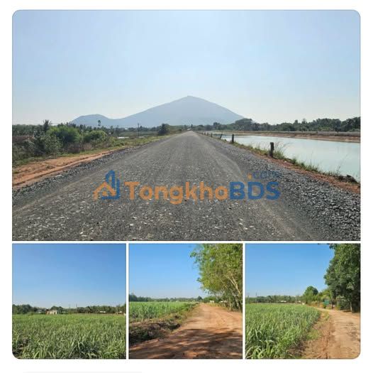 Đất nền Trà Vong Tân Biên 1.000m² giá 285 triệu - Sổ đỏ chính chủ, xây vườn tự do