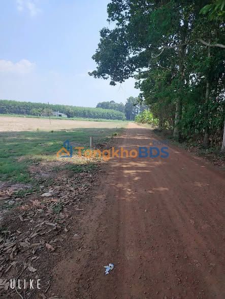 Đất nền Phước Ninh Tây Ninh 1.000m² giá thỏa thuận - Sổ đỏ chính chủ