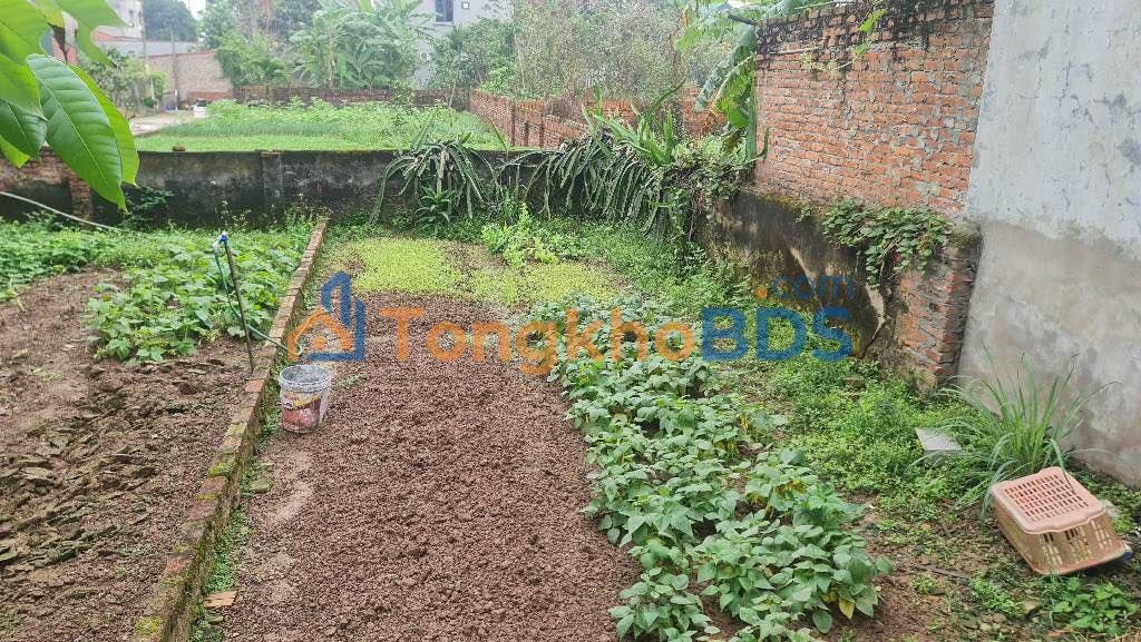 Đất nền Giao Tất A Kim Sơn 50m² hơn 2 tỷ - Đường to ô tô