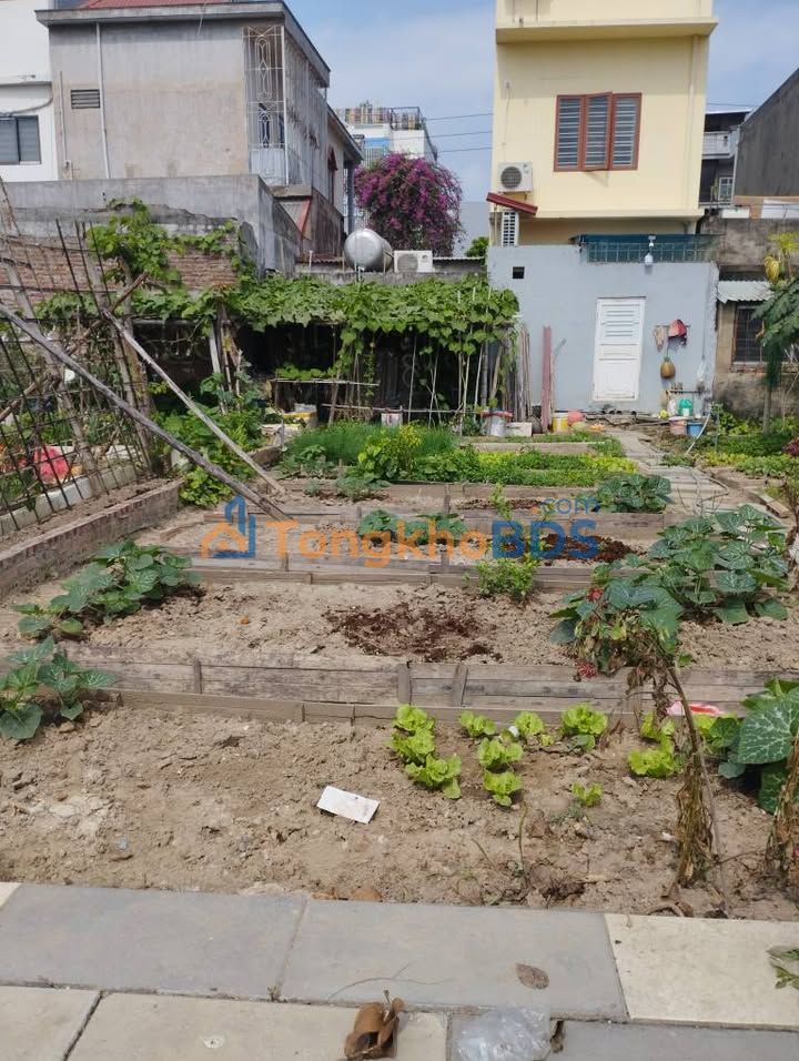 Đất nền Đông Khê 60m² 720 triệu - Sổ đỏ chính chủ