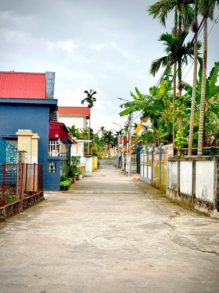 Đất nền Tam Cường 160m² 1.05 tỷ - Giá tốt hiếm có