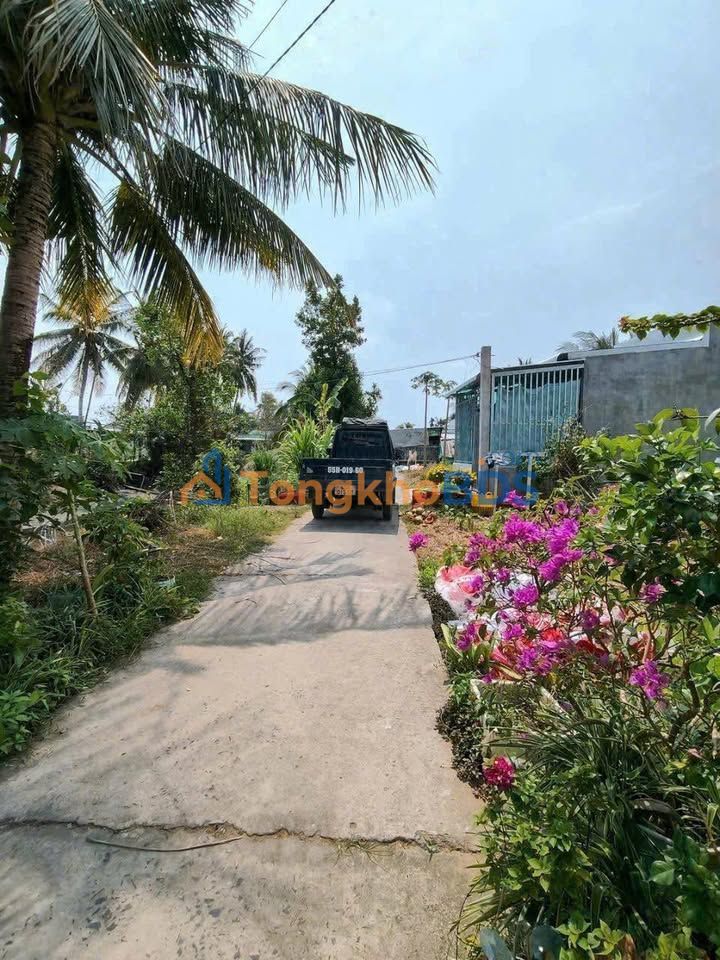 Bán nền 81m² Mỹ Khánh, Cần Thơ - Sổ đỏ thổ cư, gần chợ Bông Vang