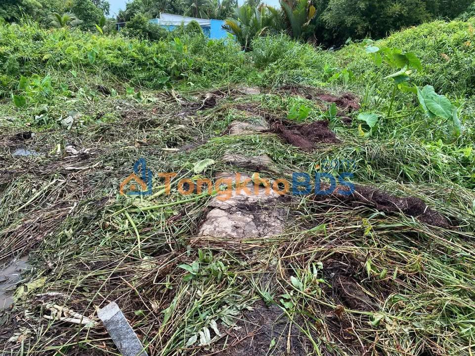 Đất nền Tân An Cần Thơ 415m² 200 triệu - Giá F0 CĐT