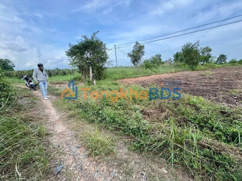 Đất CLN Hàm Liêm 648m² 379 triệu - Đường to ô tô