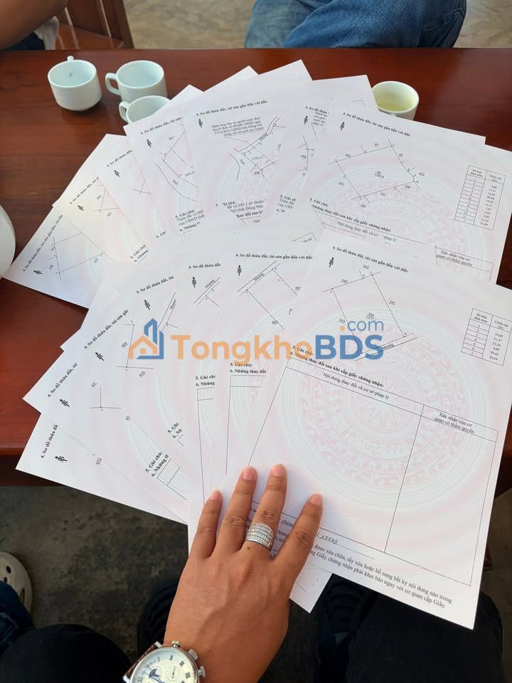 Đất nền Xuân Hiệp Xuân Lộc 16.000m² 3,04 tỷ - Tiềm năng tăng giá