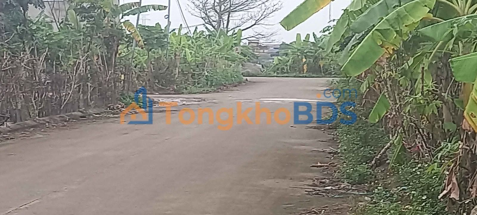 Đất nền Hoa Lư 120m² - Tiềm năng đầu tư sinh lời cao