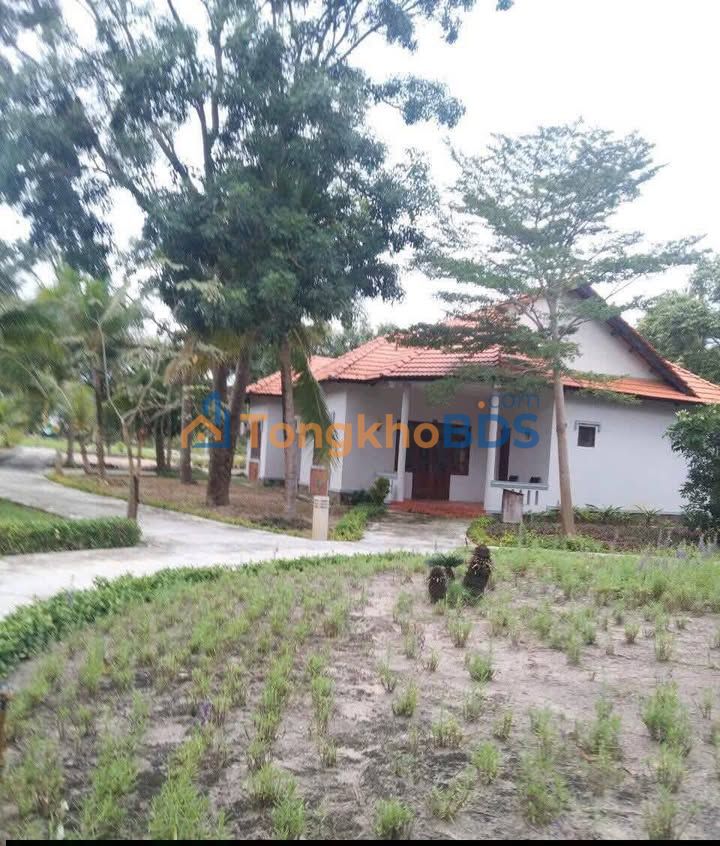 Resort La Gi Hùng Vương 10ha - View biển, vận hành ngay