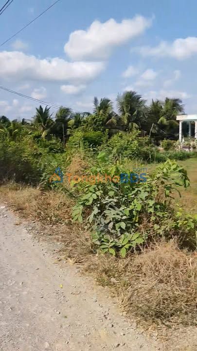 Đất nền Ấp Ninh Đông Gò Công Tây 336m² 350tr - Sổ đỏ chính chủ