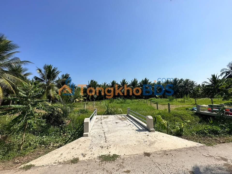 Đất nền Ấp An Lạc Trung 368m2 550tr - Sổ đỏ chính chủ