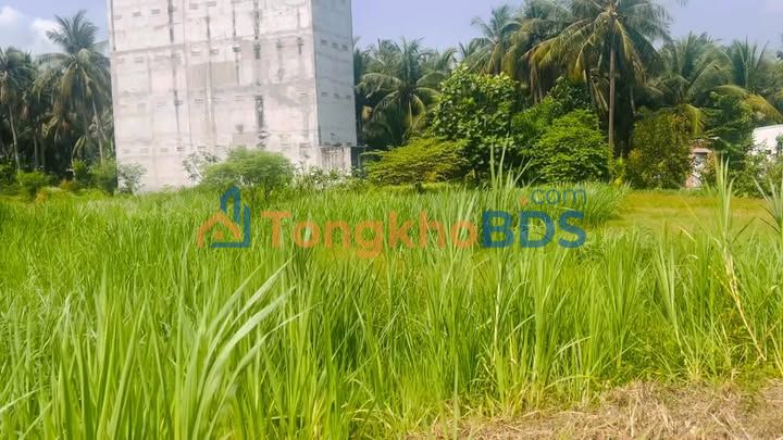 Đất nền Bình Ninh 300m² 700 triệu - Giá đầu tư tốt