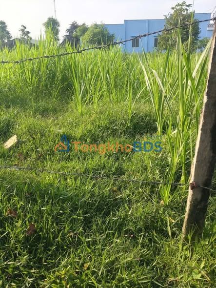 Đất nền Ấp Bà Lẫy 2 Tăng Hòa 120m² 280 triệu - Đường to ô tô